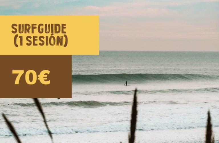 Surfguide 1 sesión, 70 euros
