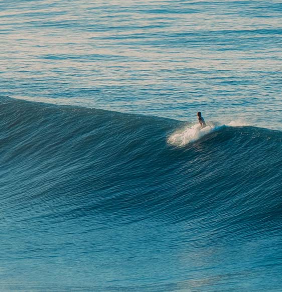 Guía de surf