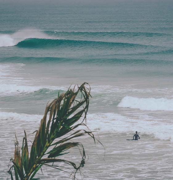 Guía de surf