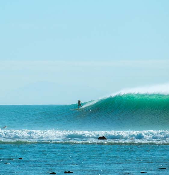 Guía de surf